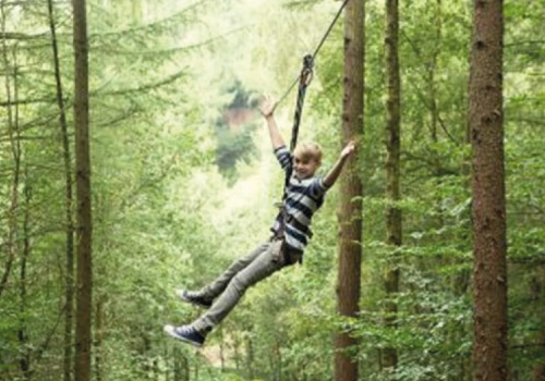 Attraction image for Go Ape Haldon Forest